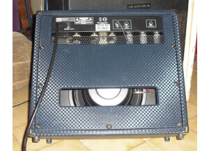 Ampeg J-20