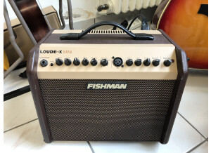 Fishman Loudbox Mini (67954)