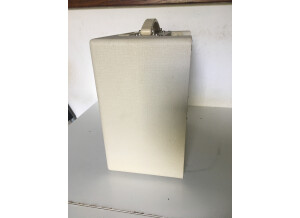 Vox AC4TV (12039)