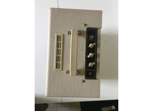 Vox AC4TV (89820)