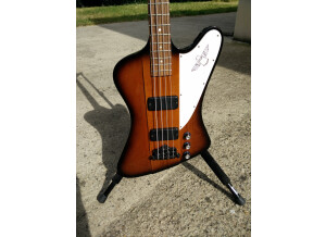 Gibson-Thunderbird-02