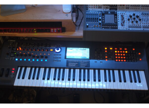 Dave Smith Instruments OB-6 (88568)