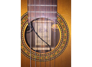 Takamine TC132SC (40864)