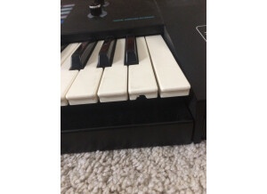 Sequential Circuits Prophet 2000 (4099)