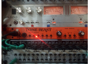 Warm Audio TB12 Tone Beast (9890)