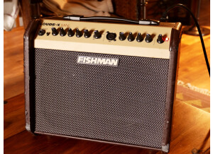 Fishman Loudbox Mini (21853)