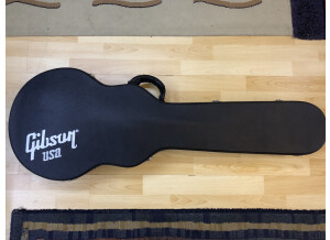 Gibson Les Paul DC Pro (5603)