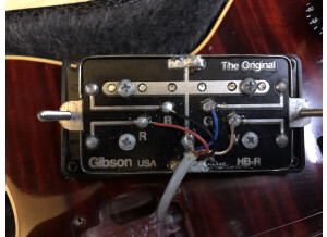Gibson Les Paul DC Pro (54764)