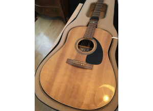 Seagull Artist Studio CW QII (26758)