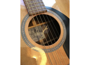 Seagull Artist Studio CW QII (88959)