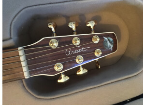 Seagull Artist Studio CW QII (69806)