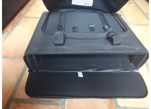 Gator Cases GRB-2U (46259)