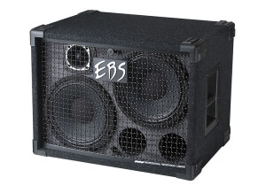 SWR Golight 4x10 (72239)