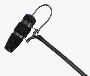 Choirmic_Web_Mic_f7 Choirmic_Web_Mic_f7