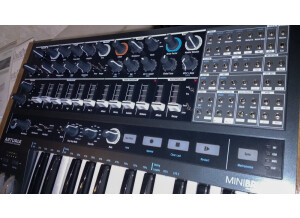 Arturia MiniBrute 2 (53431)