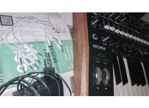 Arturia MiniBrute 2 (61119)