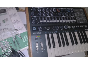 Arturia MiniBrute 2 (61318)
