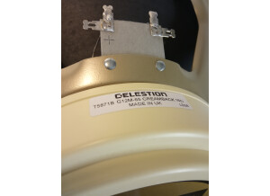 Celestion G12M-65 Creamback (58595)