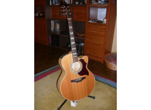 Takamine EG 523 SC