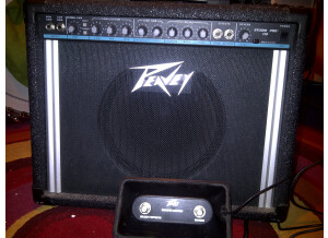 Peavey Studio Pro 110 (79147)