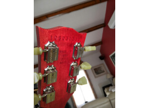 Gibson Les Paul Studio LPJ DLX (9816)