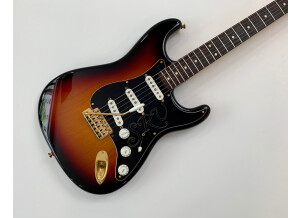 Fender Stevie Ray Vaughan Stratocaster (67367)