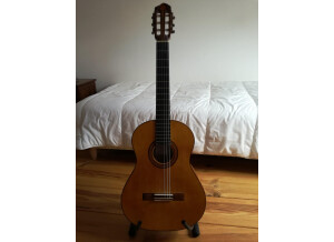 guitare flamenca 2