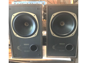 Tannoy DC200 Dual Concentric System-1 (380€) 395€.JPG