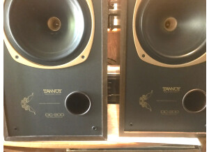 Tannoy DC200-2.JPG