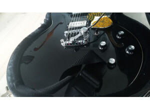 Hofner Guitars Verythin CT (21221)