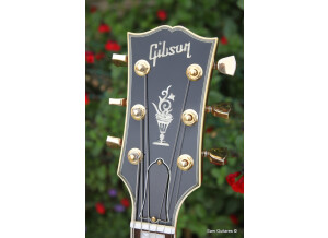 Gibson Midtown Kalamazoo (9613)