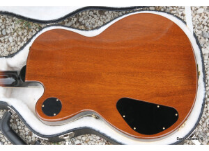 Gibson Midtown Kalamazoo (54059)