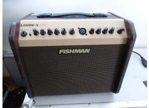 Fishman Loudbox Mini (96982)