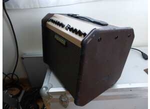 Fishman Loudbox Mini (41153)