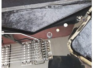 Dean Guitars Dimebag Razorback DB 7-String