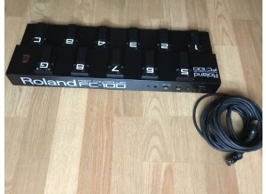 Roland FC-100 (13663)