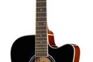 Harley Benton D-120CE