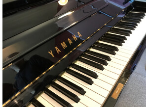 Yamaha U1 (34535)