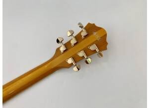 Ibanez PM2 (21904)