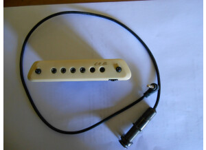 L.R. Baggs M1 Active (45921)