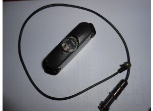 L.R. Baggs M1 Active (85974)