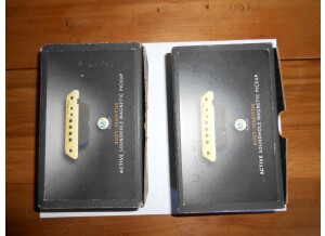 L.R. Baggs M1 Active (9548)