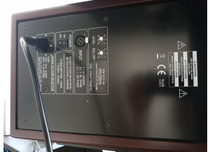 PSI Audio A21-M (75834)