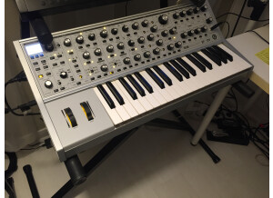 Moog Music Subsequent 37 CV (90922)