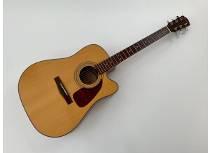Fender DG-14SCE (82986)