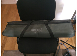 Yamaha PortaSound PCS-500 (58492)