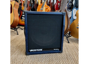 Polytone Mini Brute II (55731)