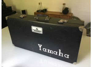 Yamaha SK15 (39236)
