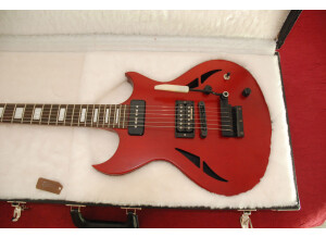 Gibson N-225 (2794)