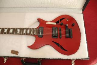 Gibson N-225